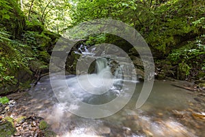 Mountain river in the Carpathians on a summer day with clear crystal water, rocks overgrown with moss and ferns. The concept of vi