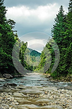 Mountain river. Carpathians, Ukraine.