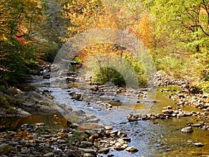 Mountain river creek and forest in fall with reflections