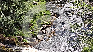 Mountain river in dense forest. rocky watercourse. woodland creek. slow motion. view from the cliff