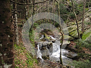 A mountain river at Dirfys mountain