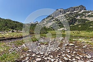 Mountain river and Dzhangal peak and Banski lakes, Pirin Mountain