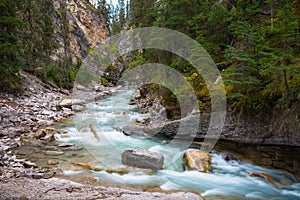 Mountain River Evergreen Forest Canadian Rockies