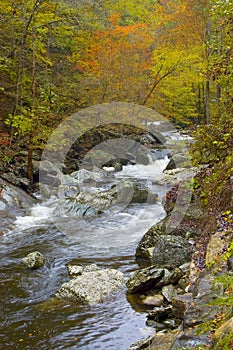 Mountain River with Fall Colors