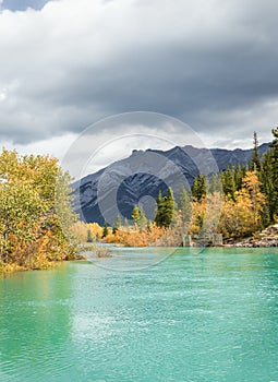 Mountain river with fall colours