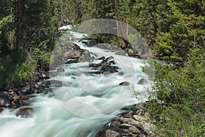 Mountain river. fast stream water. Russia Altai