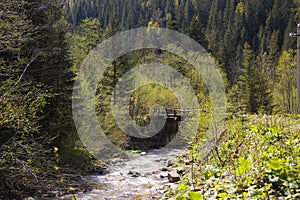 A mountain river flowing in the Carpathian Mountains