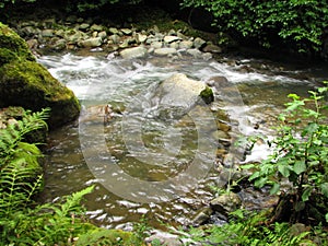 Mountain river flowing among mossy stones