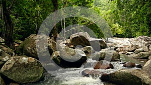 Mountain river flowing in rainforest. Endless meditative video, stream in tropical exotic jungle forest. Creek flow in