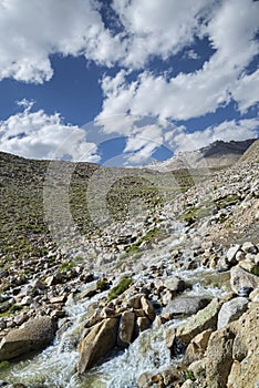 Mountain river flowing among snow summits and green valley