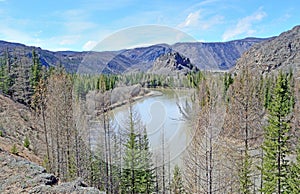 A mountain river flows along the foot of rocks and mountains