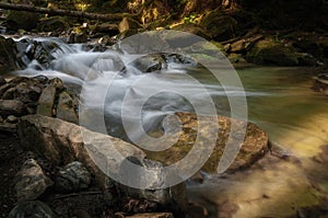 The mountain river flows through a green fairy forest