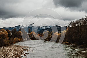 Mountain river flows among mountains in fog and forest