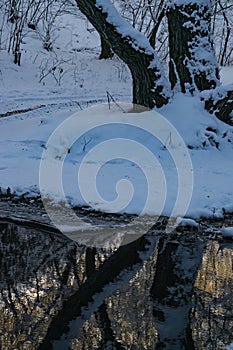 A mountain river flows slowly in winter in a forest with snow and ice