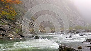 Mountain river in fog. Autumn landscape with rocky shore under cliff