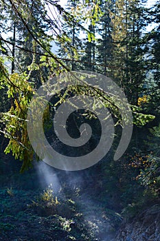 Mountain river, fog and rocks of Carpathian Mountains in Ukraine