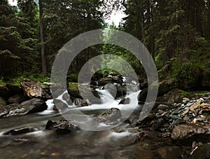 Mountain river in the forest