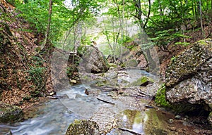 Mountain river in forest