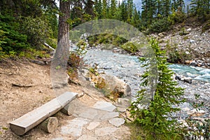 Mountain River Forest Landscape