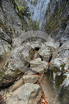 Mountain river in forest and mountain terrain. Crimea the Grand Canyon