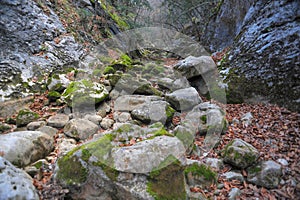 Mountain river in forest and mountain terrain. Crimea the Grand Canyon