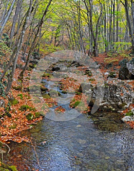 Mountain river in forest and mountain terrain. Crimea the Grand Canyon