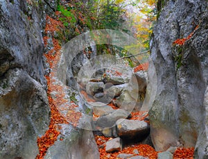 Mountain river in forest and mountain terrain. Crimea the Grand Canyon