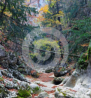 Mountain river in forest and mountain terrain. Crimea the Grand Canyon