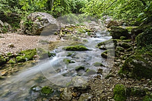 Mountain river in forest and mountain terrain, Grand canyon, Crimea