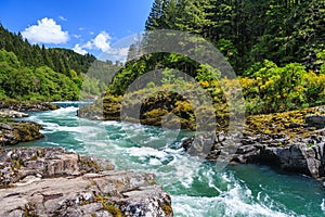 Mountain river and forest in North Cascades National Park Washington USA