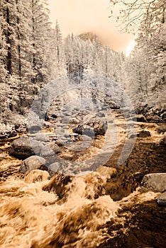 Horská rieka v lese na Slovensku. jesenné farby. infračervený obraz