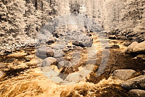 Mountain river in forest in Slovakia. autumn colors. infrared image