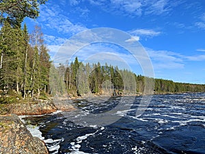 Mountain river and forest in Sweden