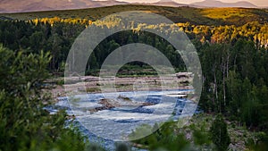 Mountain river and forest trees on the sunset, Altai Mountains, Kazakhstan