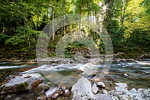 Mountain river in forest. Water on a stones