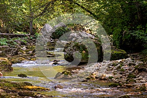 Mountain river in forest. Water on a stones