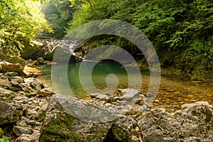 Mountain river in forest. Water on a stones