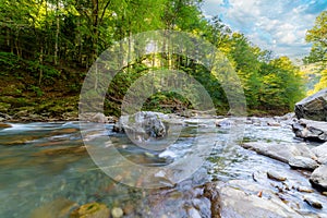 Mountain river in forest. Water on a stones