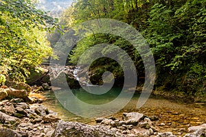 Mountain river in forest. Water on a stones