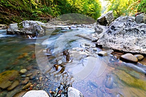 Mountain river in forest. Water on a stones
