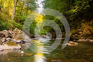 Mountain river in forest. Water on a stones