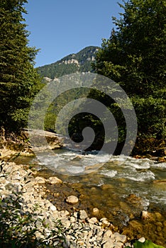 Mountain river Gega in Abkhazia, Caucasus