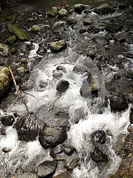 Mountain river in Georgia, Adjarija