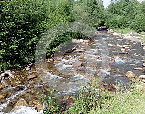 Mountain river and green bushes