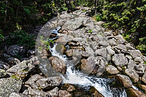 Horská rieka v Národnom parku Vysoké Tatry