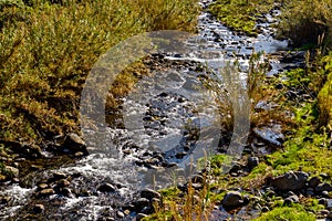 Mountain river on the island of Madeira near Sao Jorge. Portugal