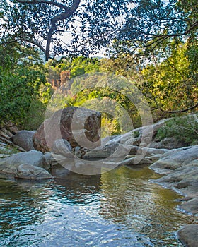 Mountain river in jungle