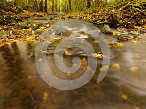 Mountain river with low level of water, gravel with first colorful leaves. Mossy rocks and boulders on river bank.