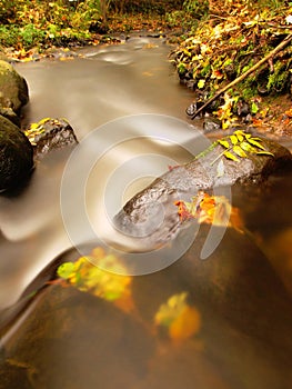 Mountain river with low level of water, gravel with first colorful leaves. Mossy rocks and boulders on river bank.