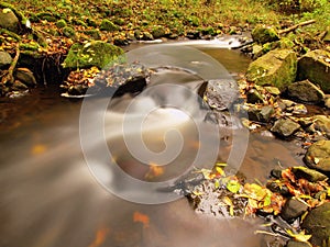 Mountain river with low level of water, gravel with first colorful leaves. Mossy rocks and boulders on river bank.